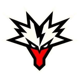 Team Yandex logo